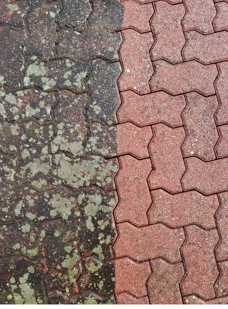 Verbundpflaster: rechts gereinigt, links noch nicht