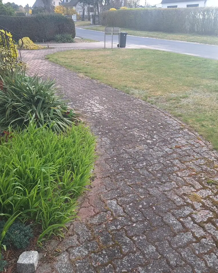 Gartenweg – dieselbe Stelle vor und nach der Reinigung vor der Reinigung