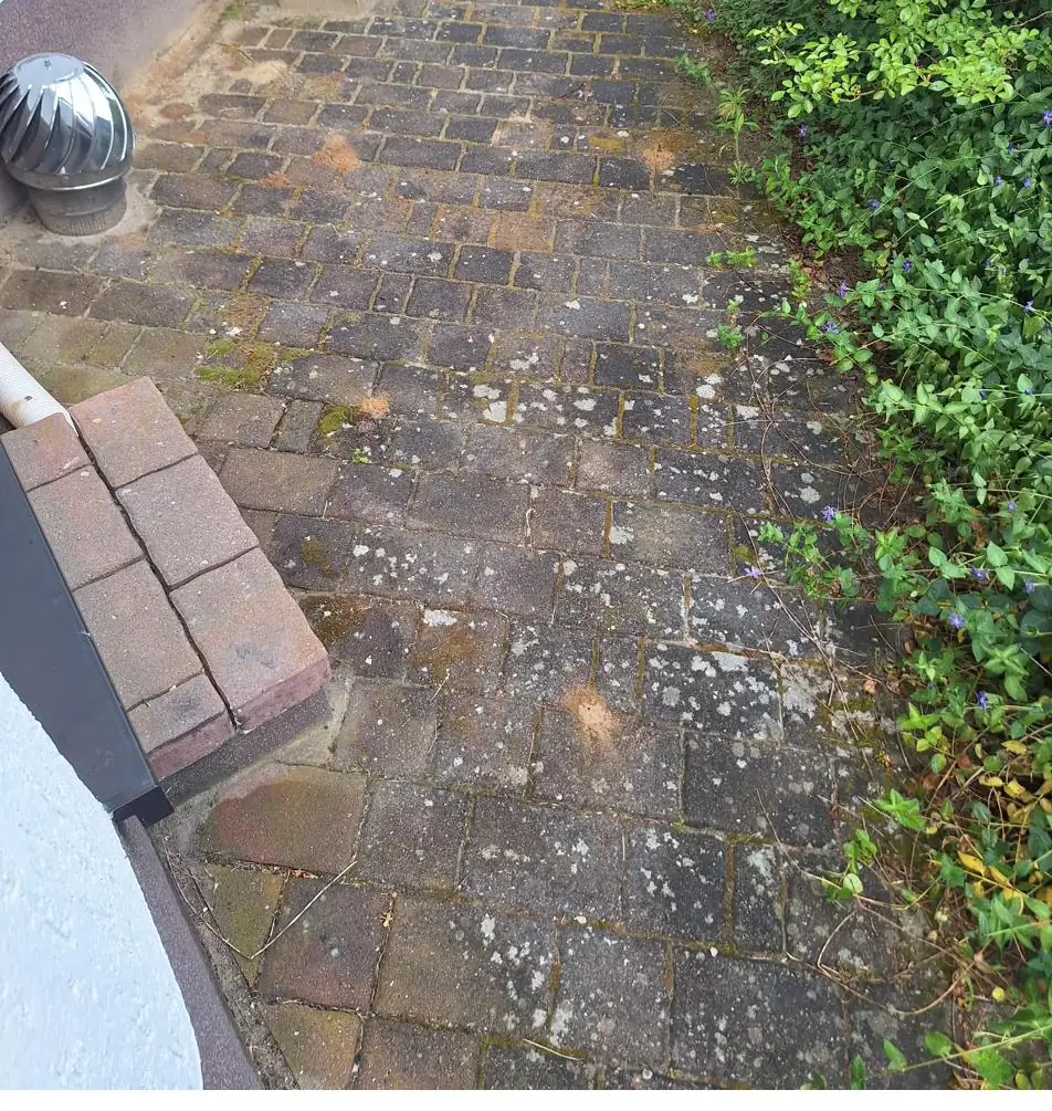 Zuweg vor der Reinigung, mit Moos und Flechten