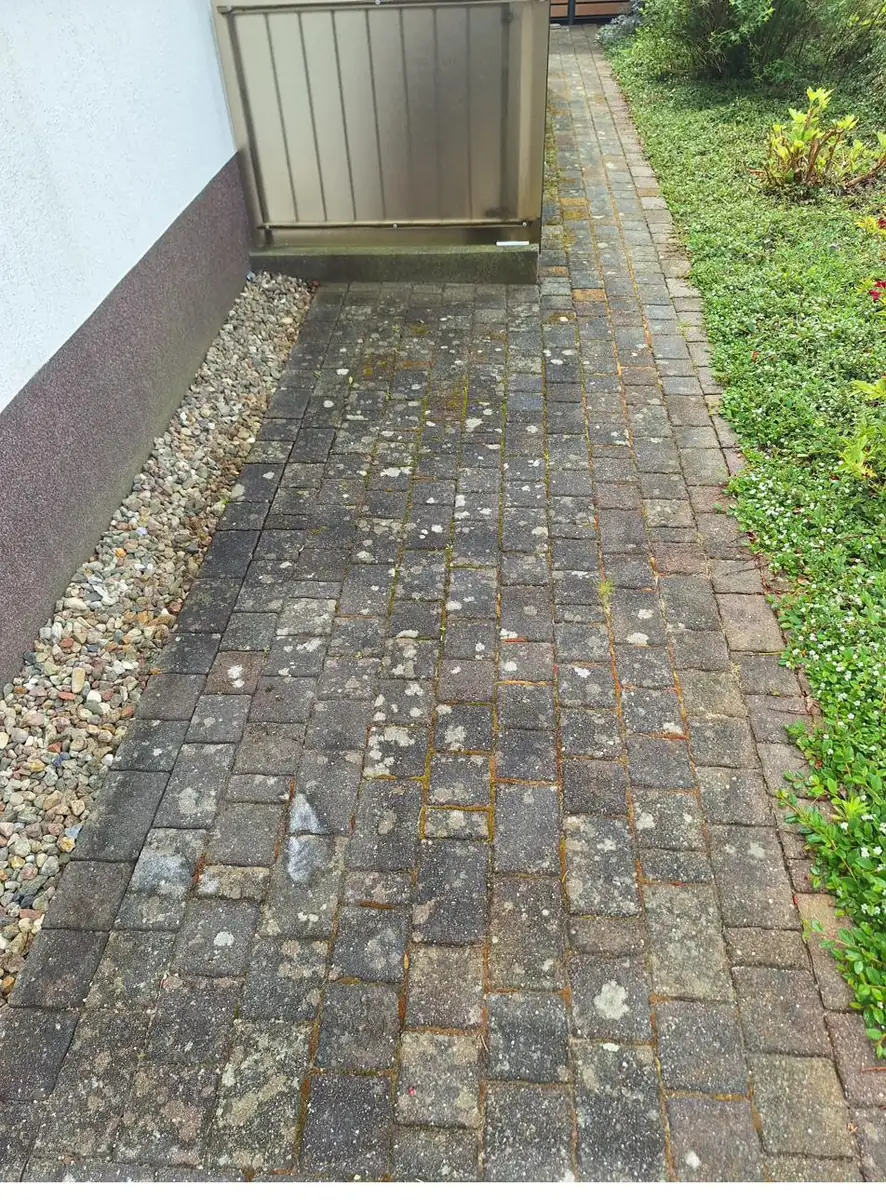 Zuweg vor der Reinigung